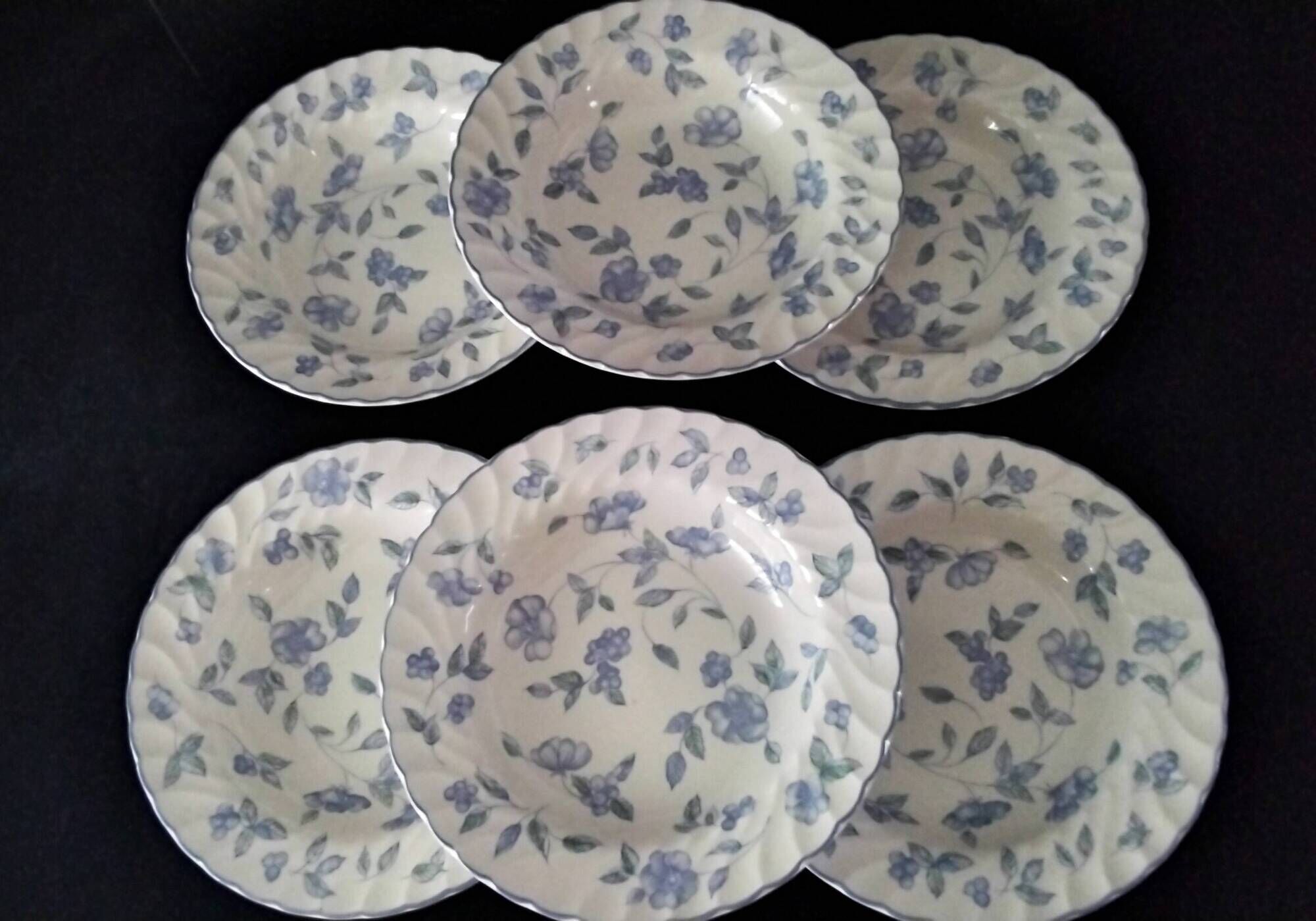 6 Assiettes creuses en porcelaine Anglaise Barratts