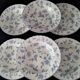 6 Assiettes creuses en porcelaine Anglaise Barratts