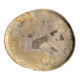 Petrified wood catchall or dish in beige with several grey spots in the centre.