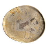 Petrified wood catchall or dish in beige with several grey spots in the centre.
