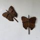 Set of 2 butterfly wall decorations sculptures 1900