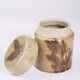 Scandinavian sandstone pot wild patterns