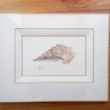 Watercolor signed Romey