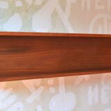 Vintage teak shelf designed by W.Wirz for Wilhelm Renz Germany of the 60s