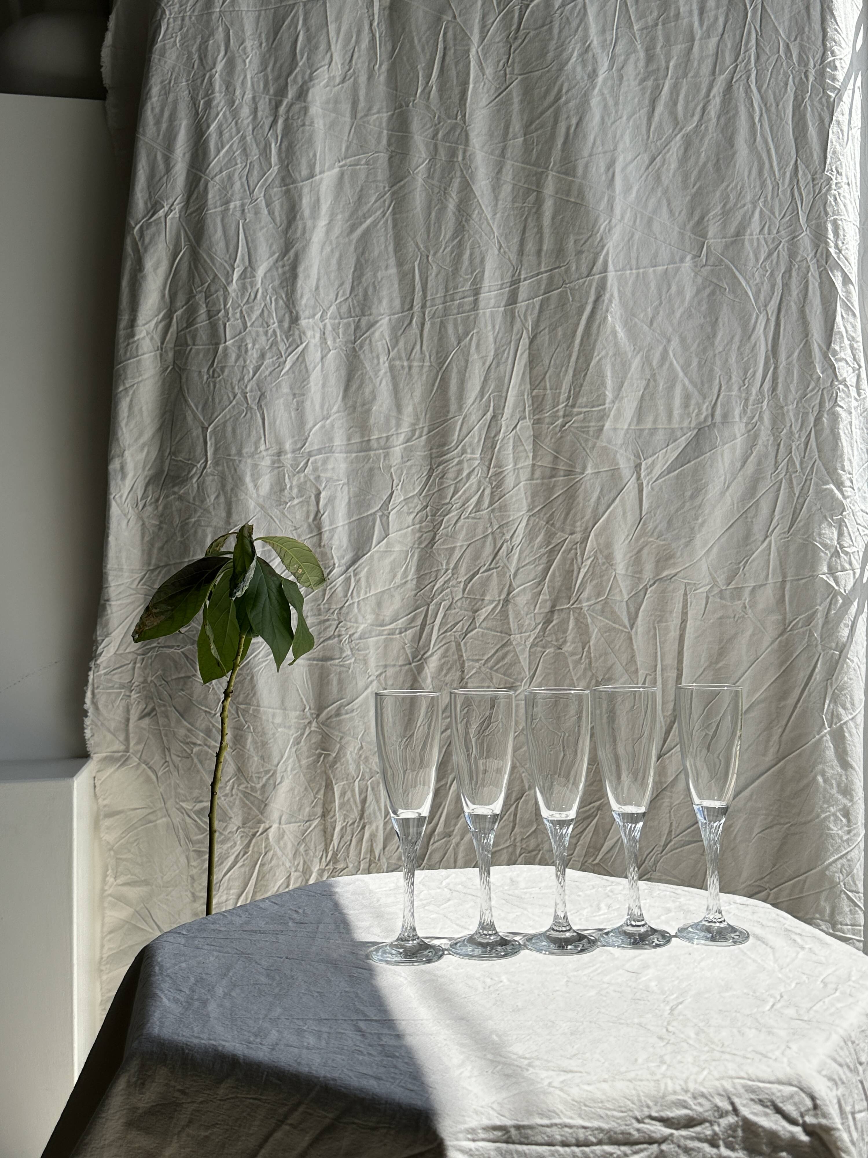 Set of 5 glass champagne flutes with twisted ribbed base