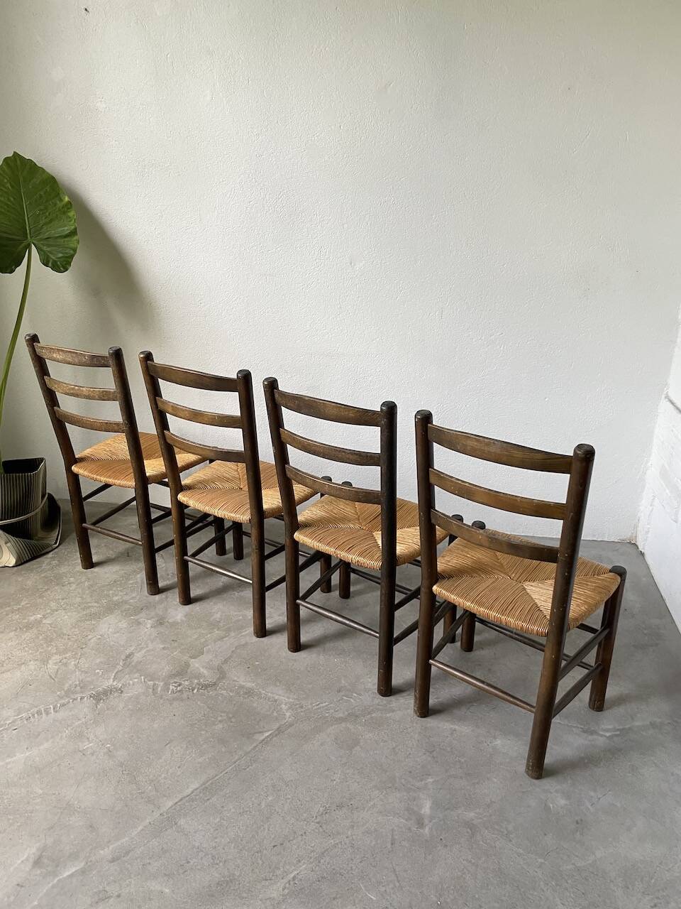 Set of 4 straw chairs from the 50s Dudouyt