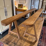 Pair of bench 19 th