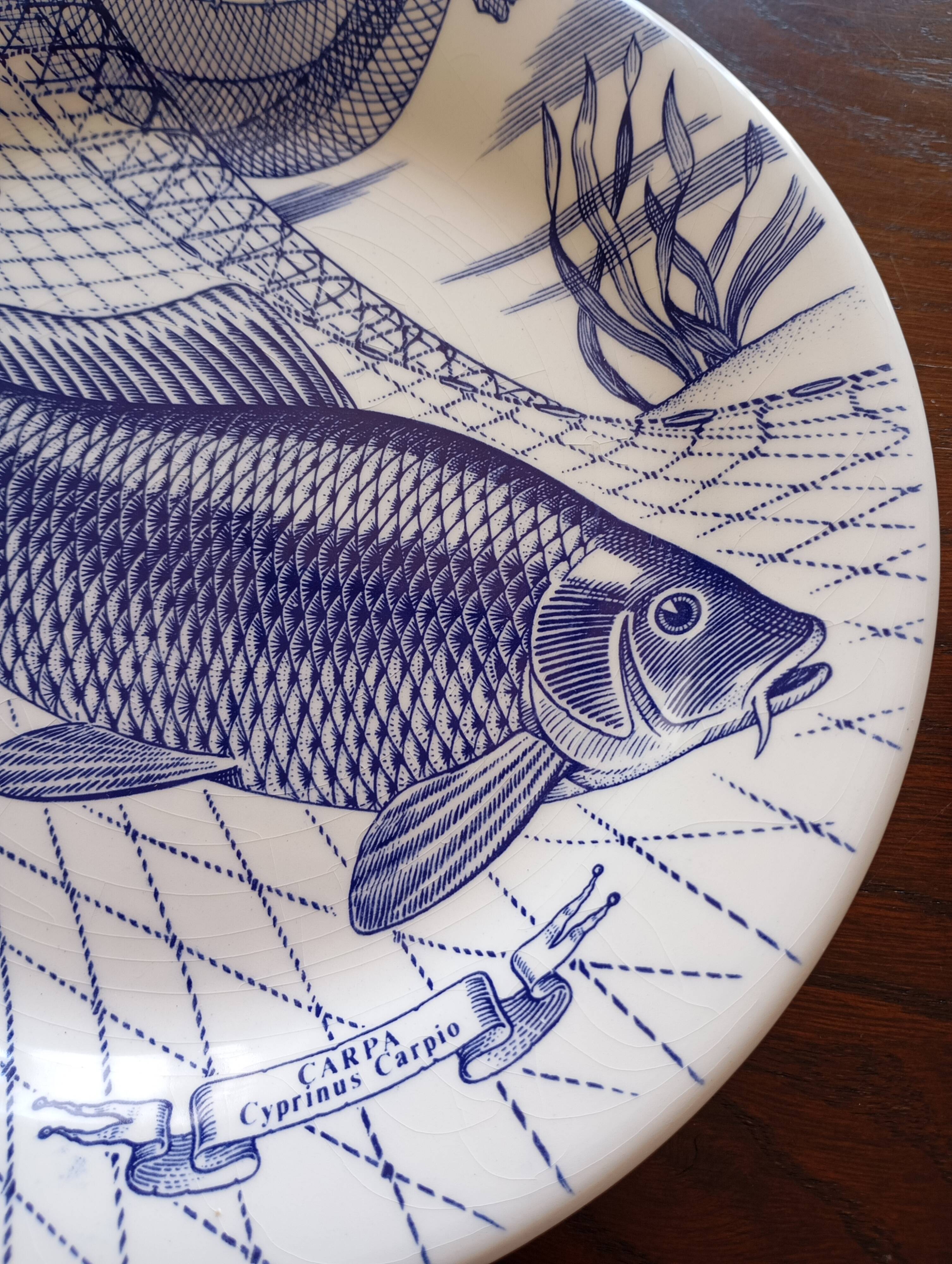 6 English Ironstone Tableware dinner plates