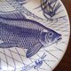 6 English flat plates Ironstone Tableware