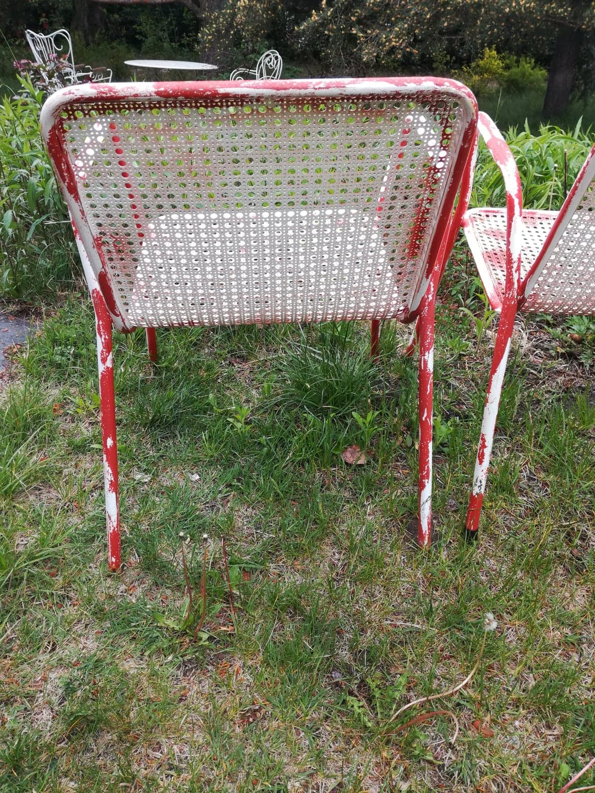 Pair of armchairs EMU 1950