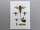 Antique illustration "insects", Vintage Insect Print, 1960s
