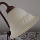 Vintage French Brown Metal Goose Neck Lamp With Textured Glass Shade