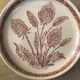 Assiettes en grès