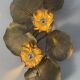 Large lily pad ceiling light in gilded brass Hollywood Regency — 7 lights — 1970