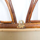 Rattan mirror - 64x39cm