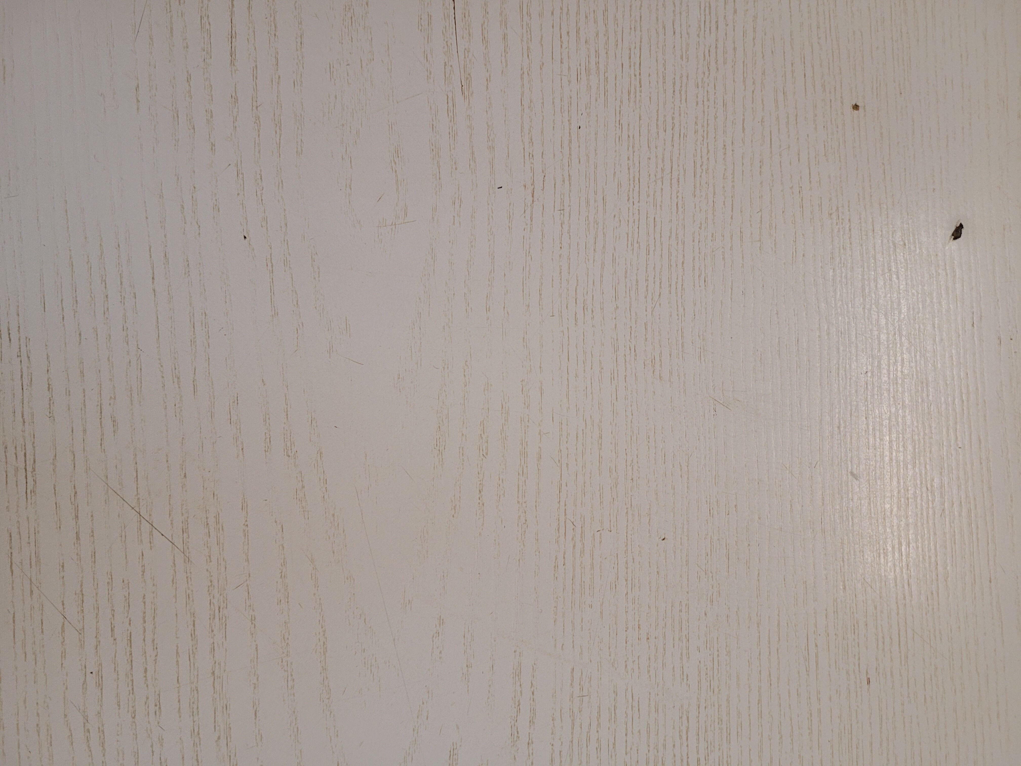 Tulip foot coffee table