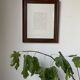Henri Matisse vellum screenprint framed by King McGraw