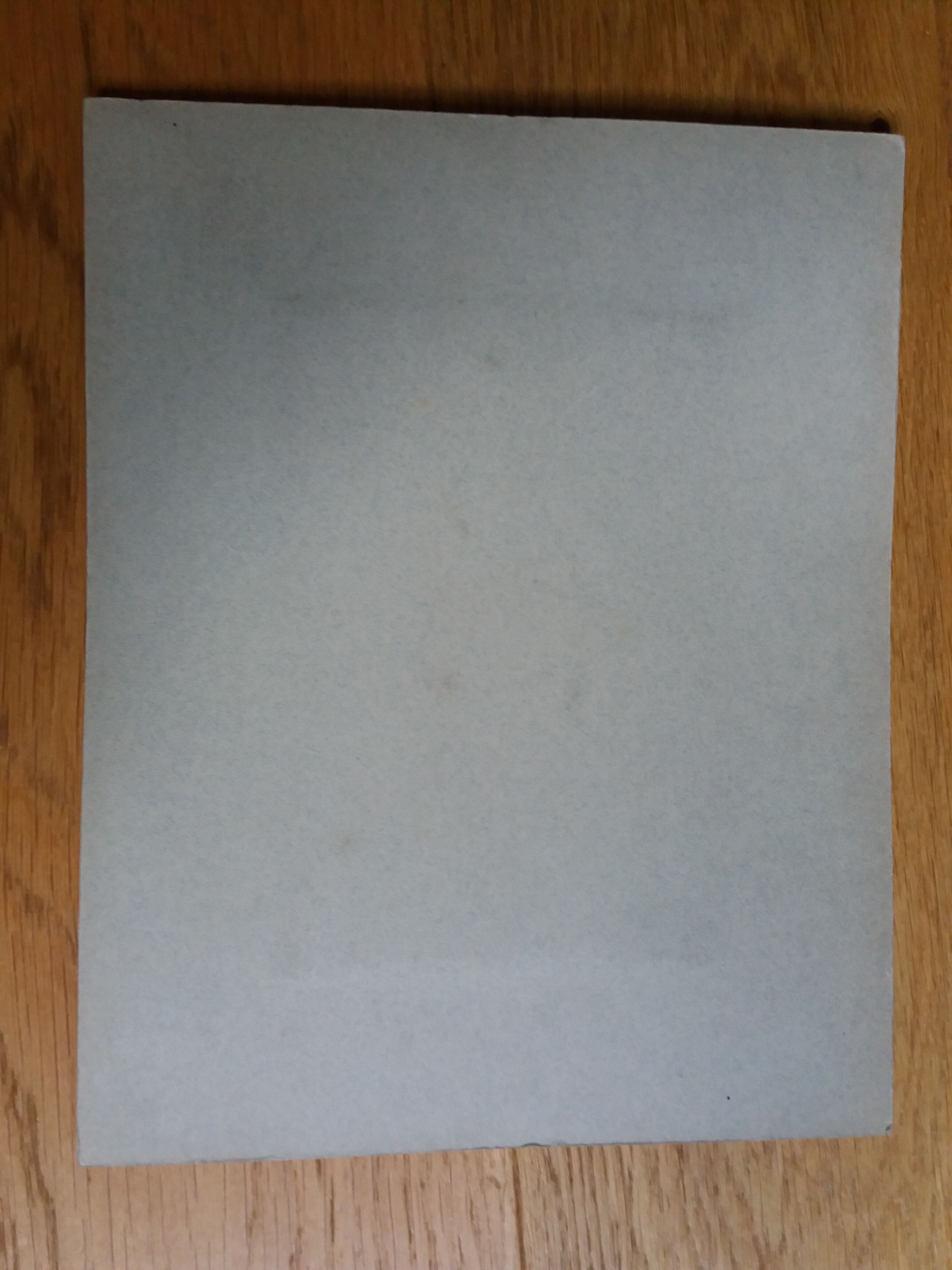 Old photograph 1900 cart, coachman and horses