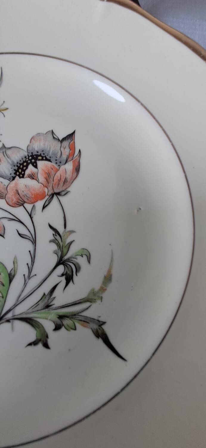 Assiettes à dessert modèle Saverne de St Amand. Années 50-60