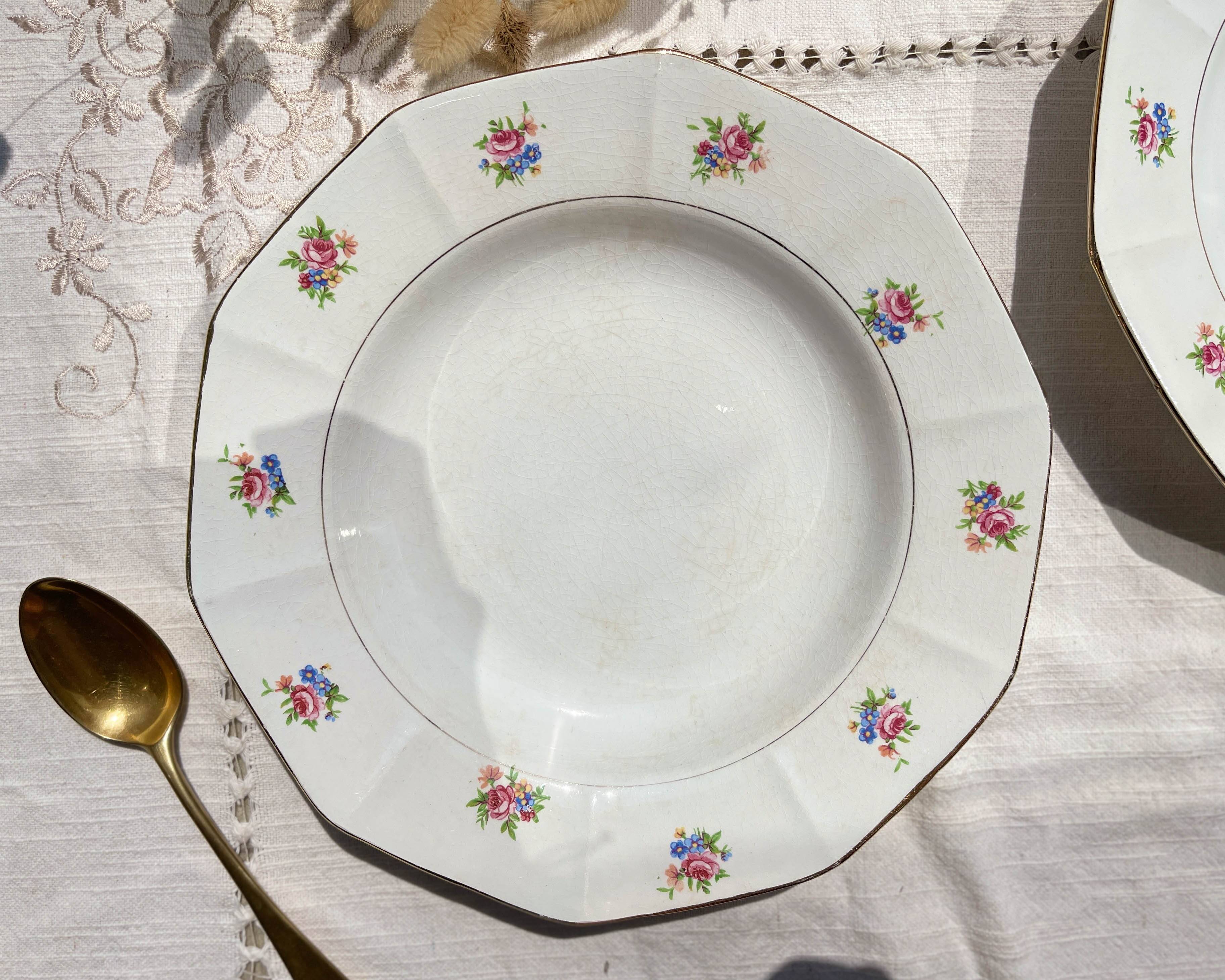 5 vintage hollow plates in opaque porcelain SALINS floral pattern