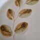 Set of 6 vintage earthenware dessert plates from St Amand, Céve decor