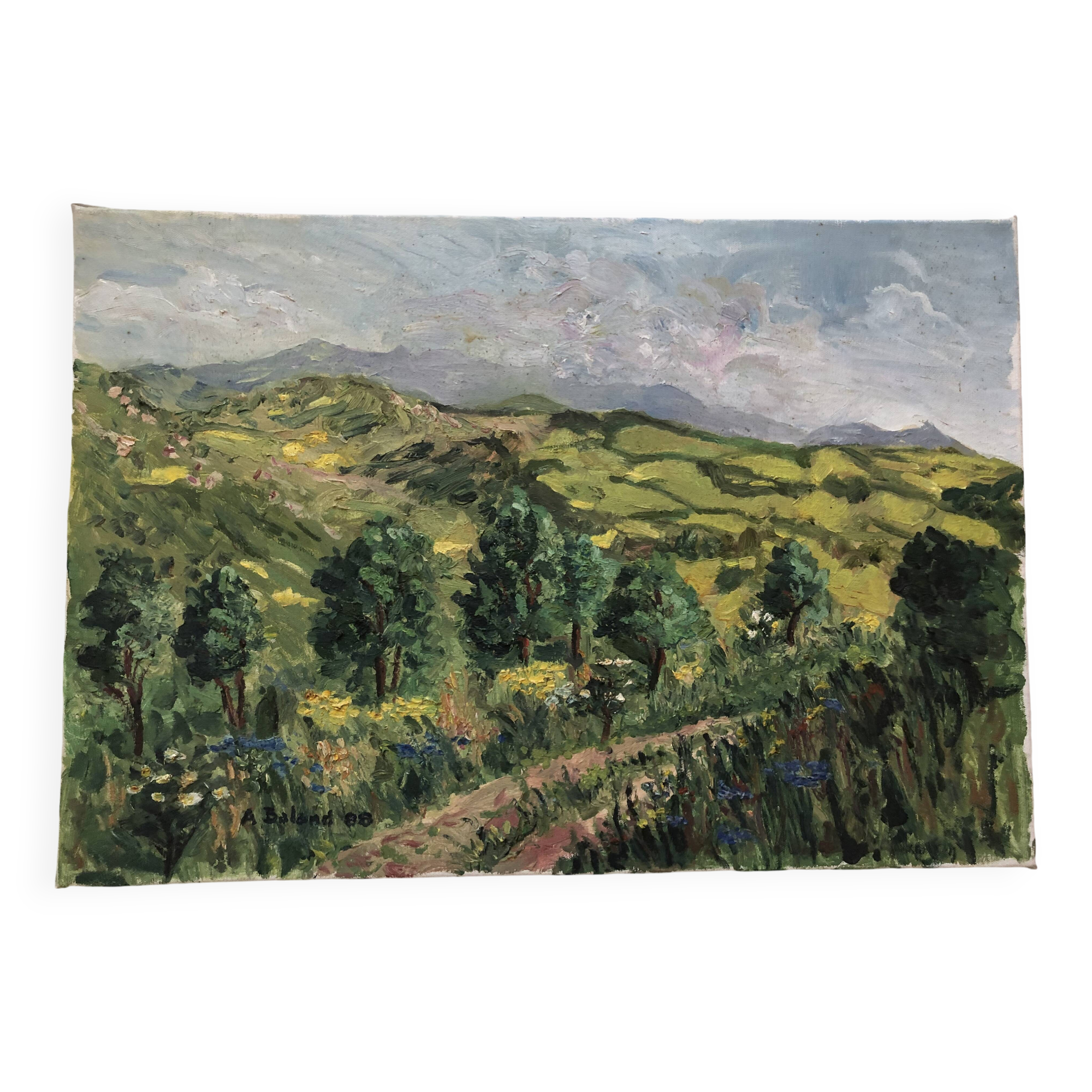 Oil on canvas pyrenees mountain landscape, signed a. baland 1988, unframed