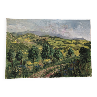 Huile sur toile paysage montagne pyrenees, signé a. baland 1988, sans cadre