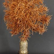 Cabinet of Curiosities: Crown-of-thorns starfish (Acanthaster planci) on a pedestal