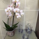 Three-piece glass-paste bathroom set