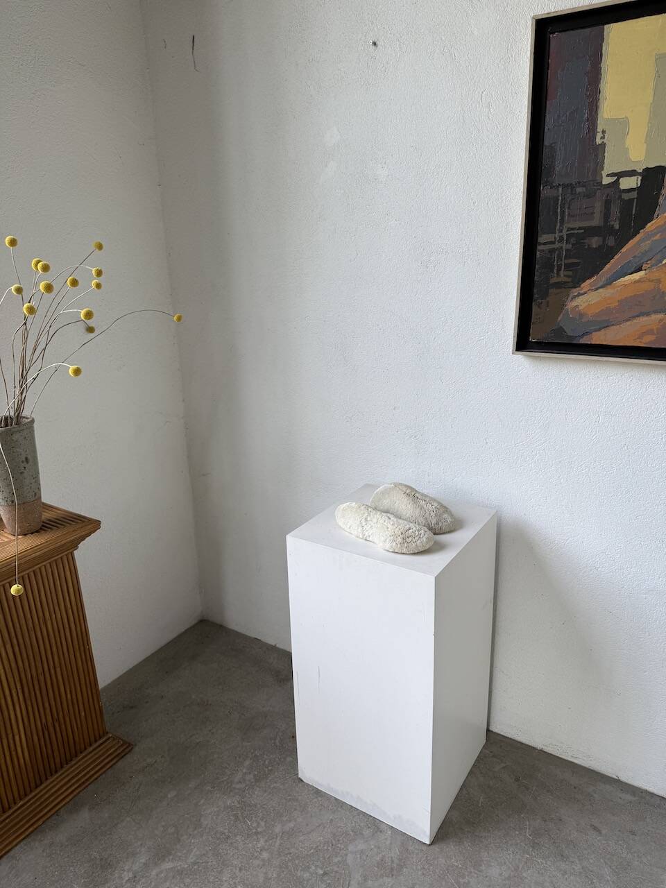 Pair of Fungia "shark cushion" corals