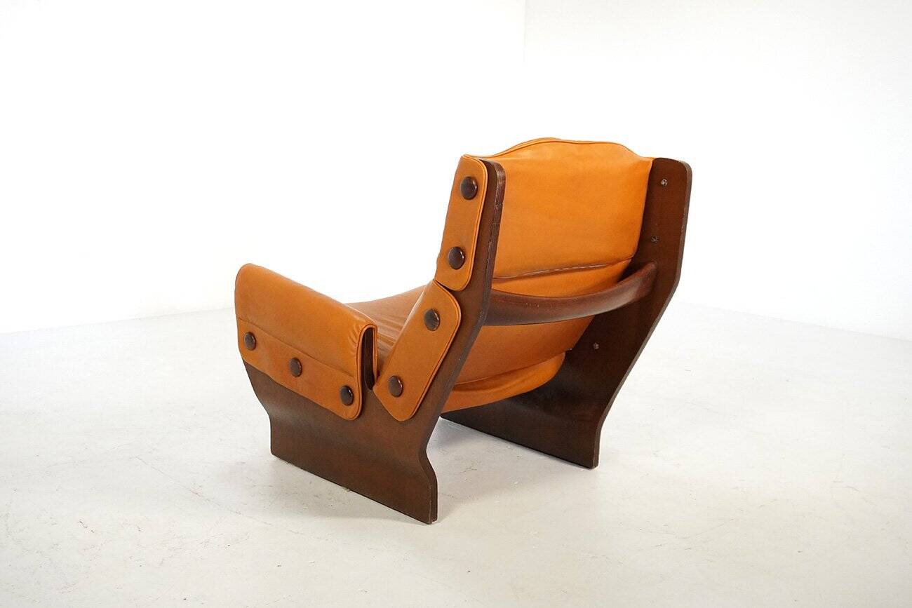 P110 Canada Lounge Chair by Osvaldo Borsani for Tecno, Italy, 1970s