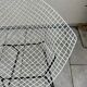 Bertoia Diamond Chair - Knoll Edition - Design by Harry Bertoia
