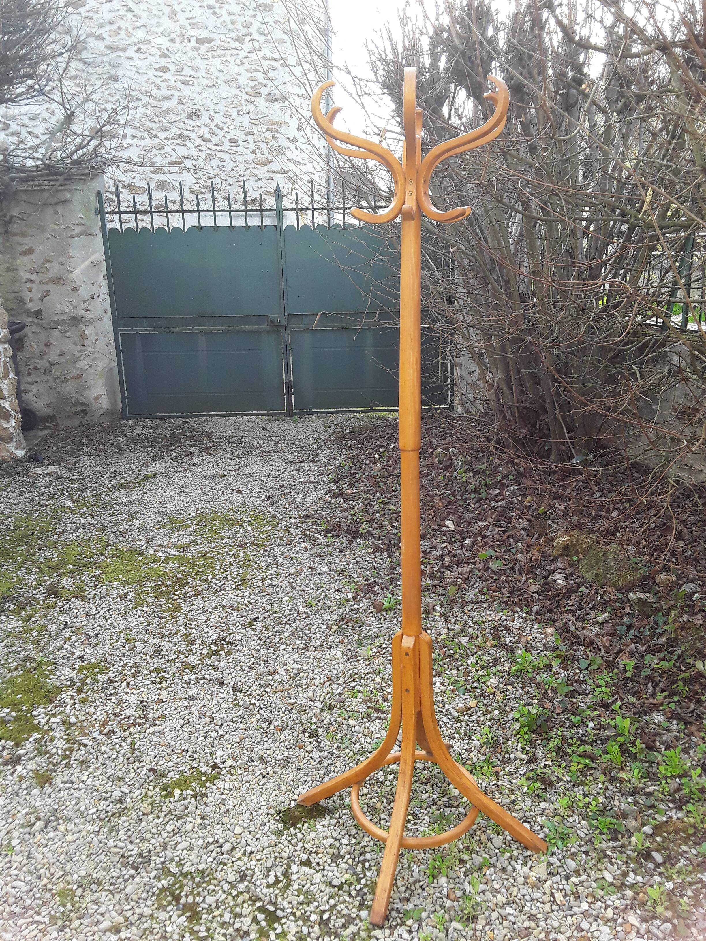 Baumann parrot coat holder