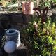 Vintage copper watering can 60s/70s