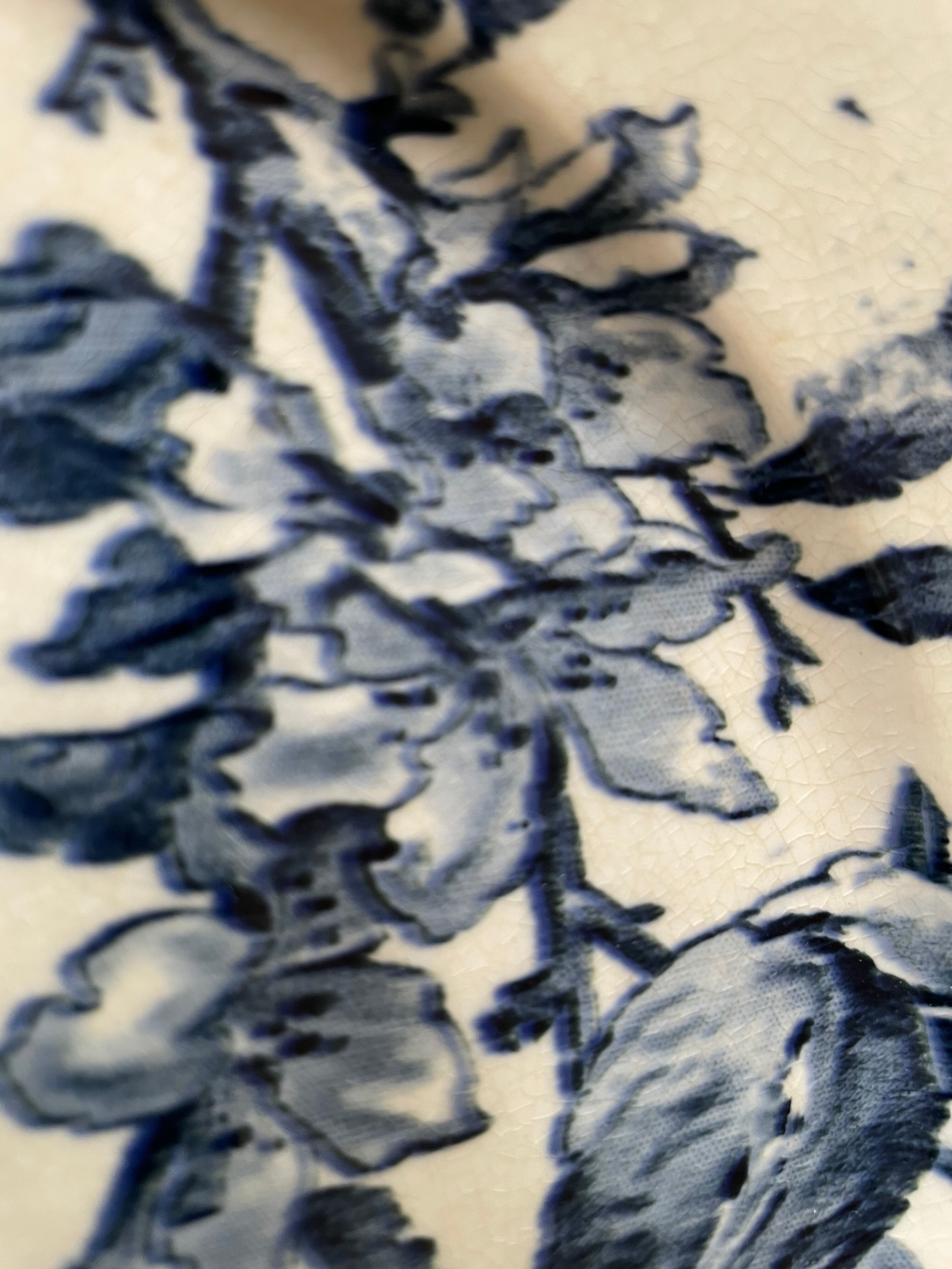 Flat plates Sarreguemines Iron Earth model Blue favorite