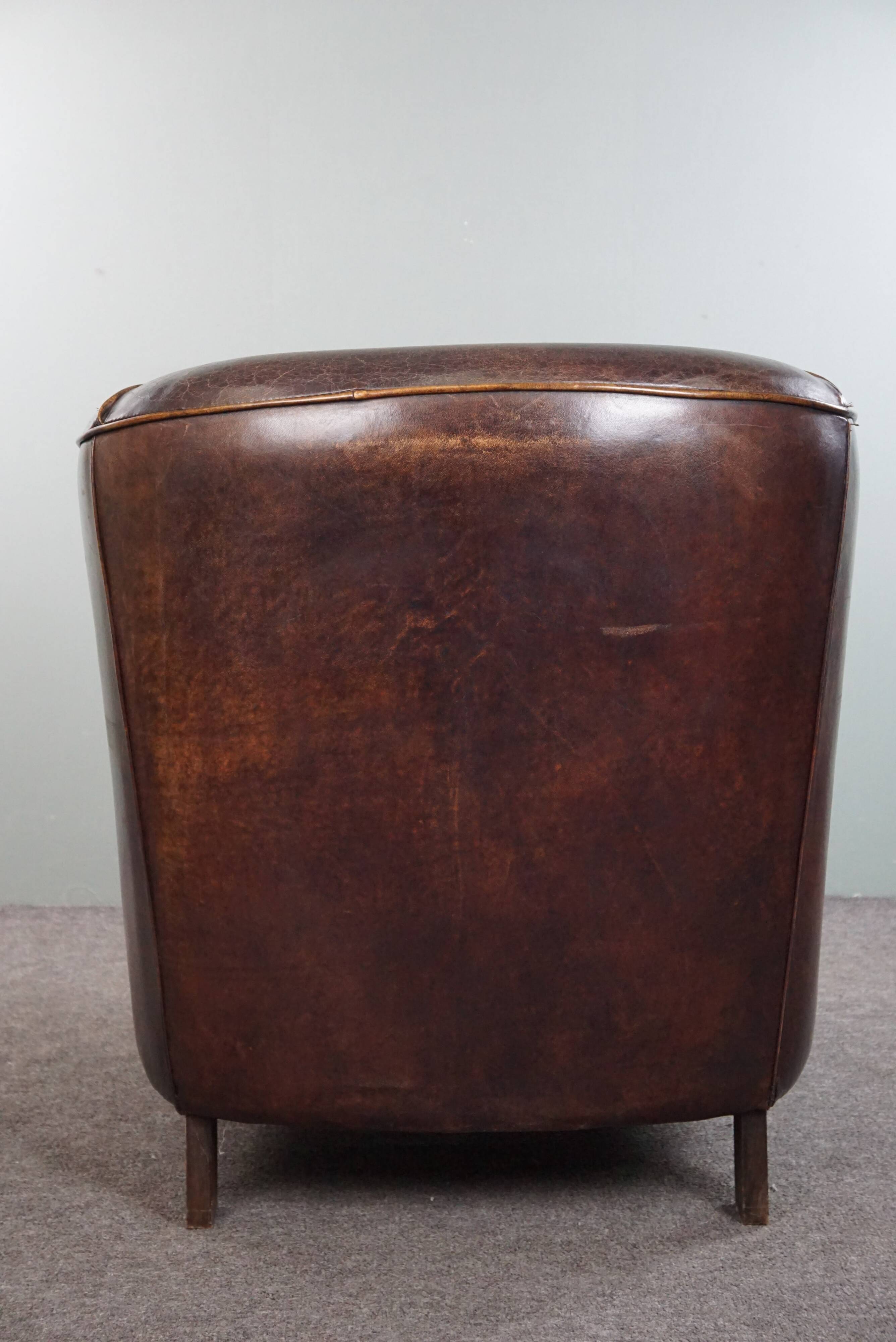 Dark sheep leather club armchair, sleek design