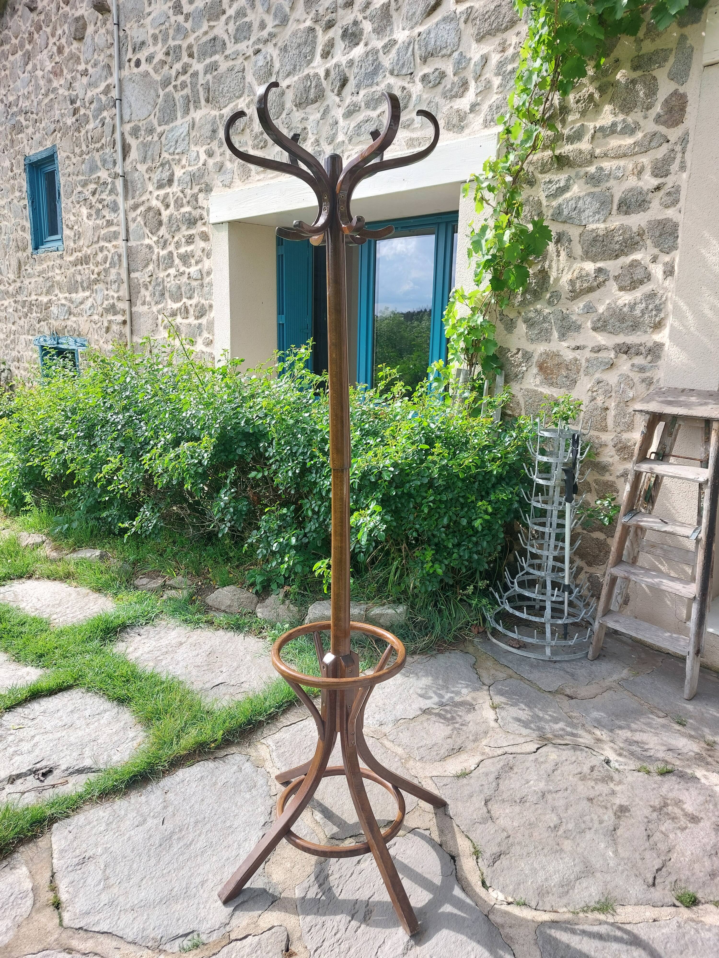 dark-coloured wooden coat rack parrot