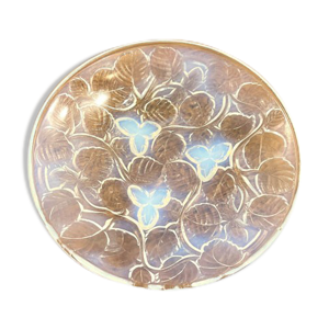 coupe en verre opalescent