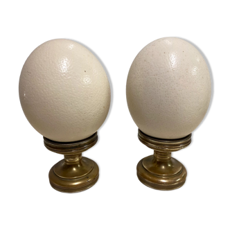 Pair of ostrich egg