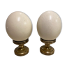 Pair of ostrich egg