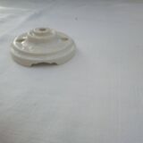 Glass tulip pendant light