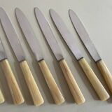 Set of 12 antique knives in green case