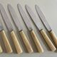 Set of 12 antique knives in green case