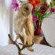 Taxidermy owl owl naturalized from the 70s