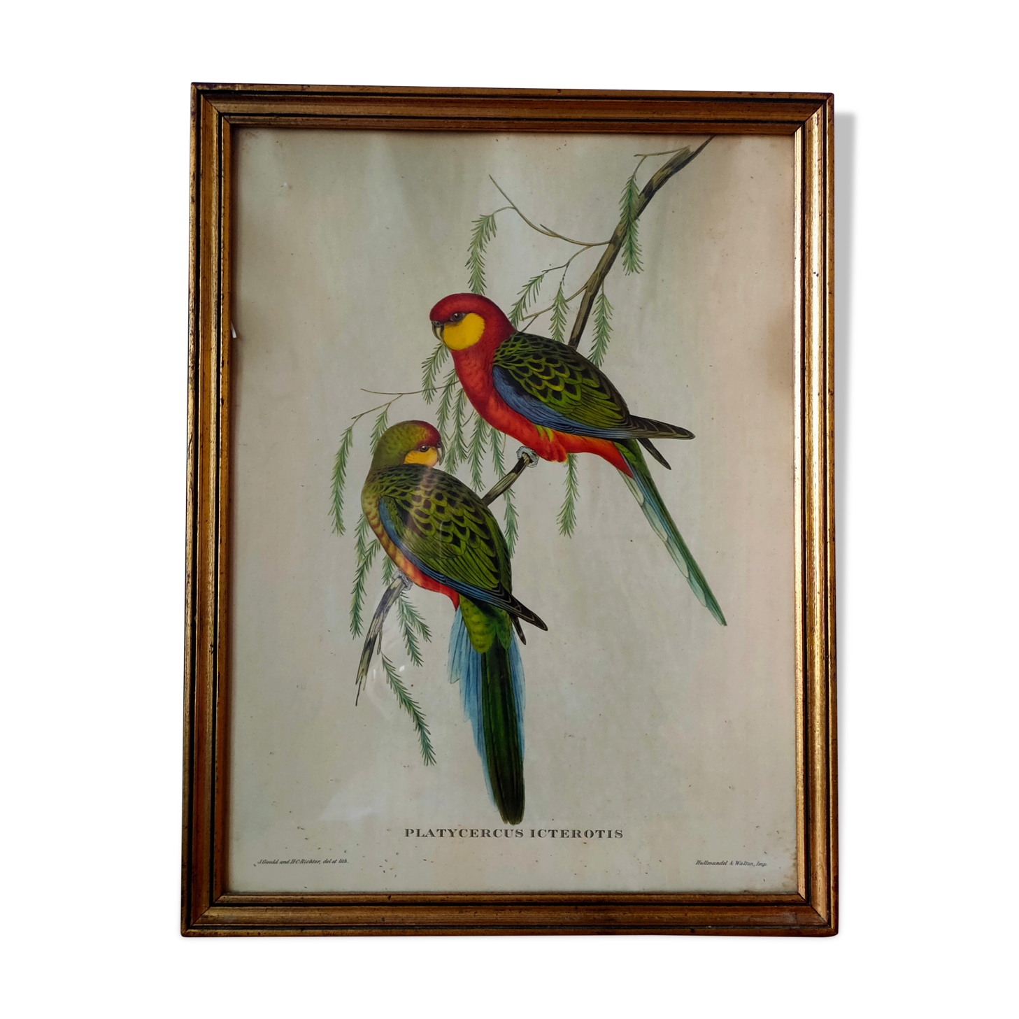 Ancient painting with exotic birds