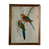Ancient painting with exotic birds