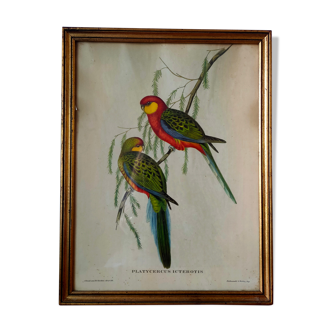 Ancient painting with exotic birds