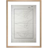Old drawing - study of geometry - Ecole Royale Polytechnique 1824