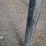 Vintage school bench