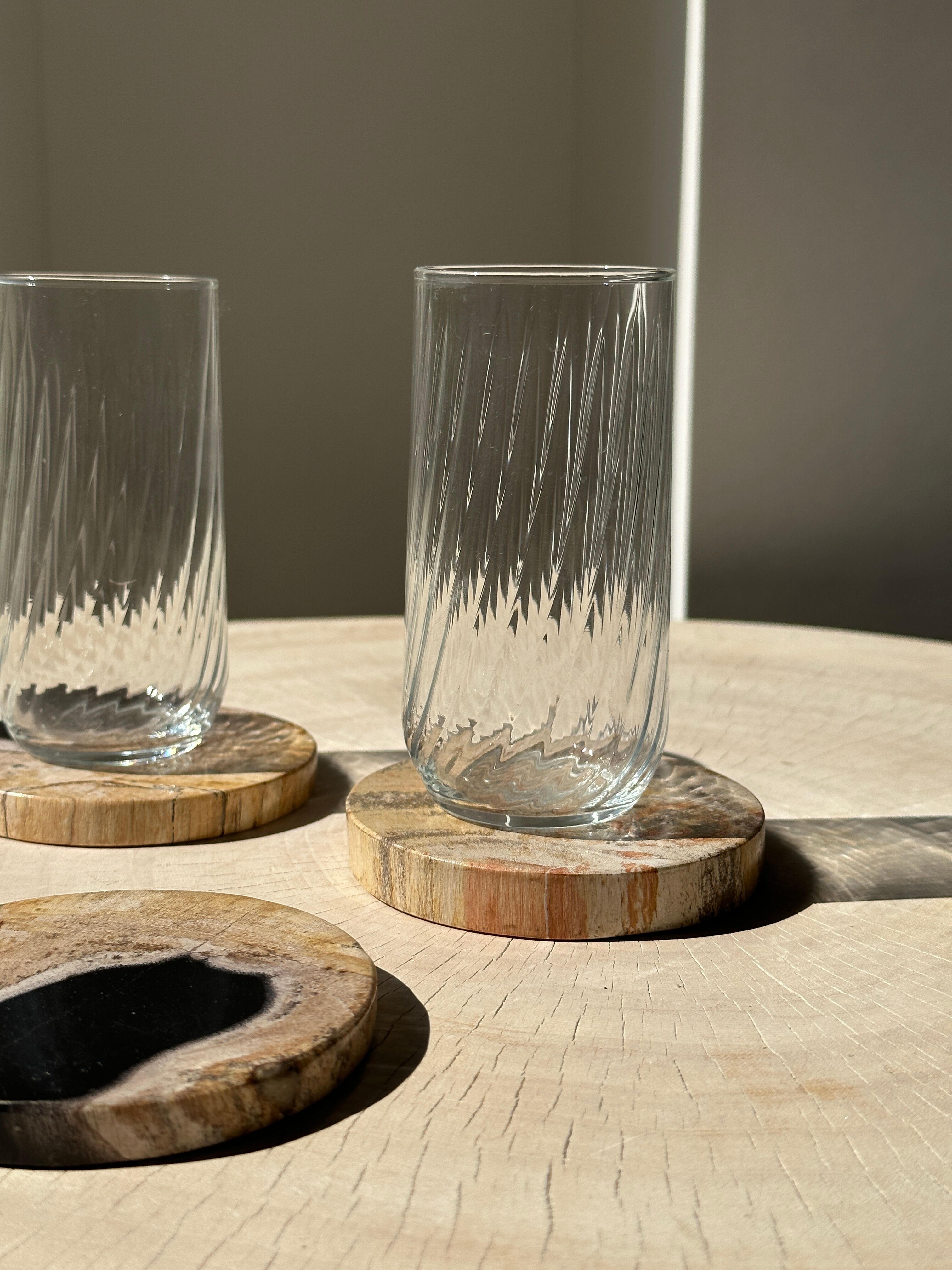 Set of 3 fossilized wooden coasters (clear)